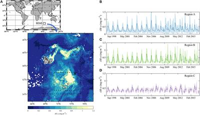 Factors Controlling the Lack of Phytoplankton Biomass in Naturally Iron Fertilized Waters Near Heard and McDonald Islands in the Southern Ocean